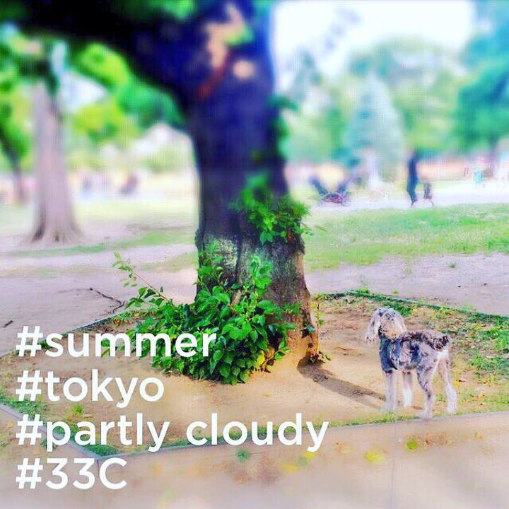 17966ac3 843e 40de ad07 b05392317280