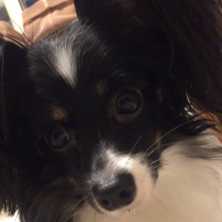 1796d935 1247 436a 872e dfd729eea038