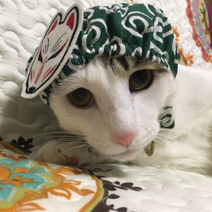 17978343 8e58 4726 91ff 8f1168018f1e