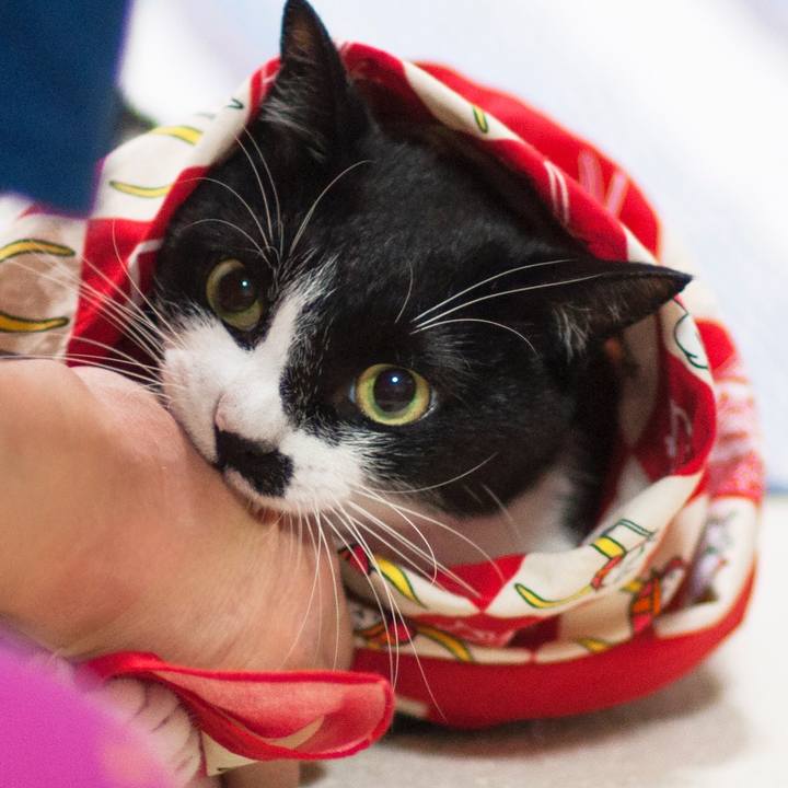 17979d7d b85f 4bc5 9bf2 eb436459df29