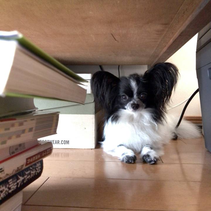 1797b8a2 62a3 4aa0 95ef 39f02cd328b0