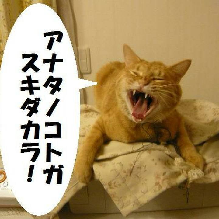 1797da26 098a 443f 893f 7acc62957a4c