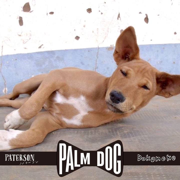 17980472 f8f9 4a55 8df4 c1c570b15a3c