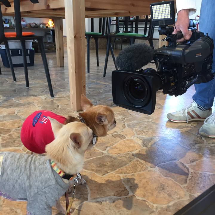 17988bf5 1213 4587 ba21 2f064648b485