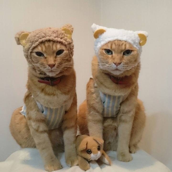 1798d567 4bc7 4b1c 96c9 95d7a2b1fbaa