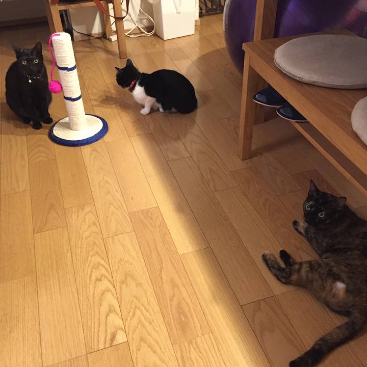 179a0ae1 b246 412d 8bd1 085bebdc5d72