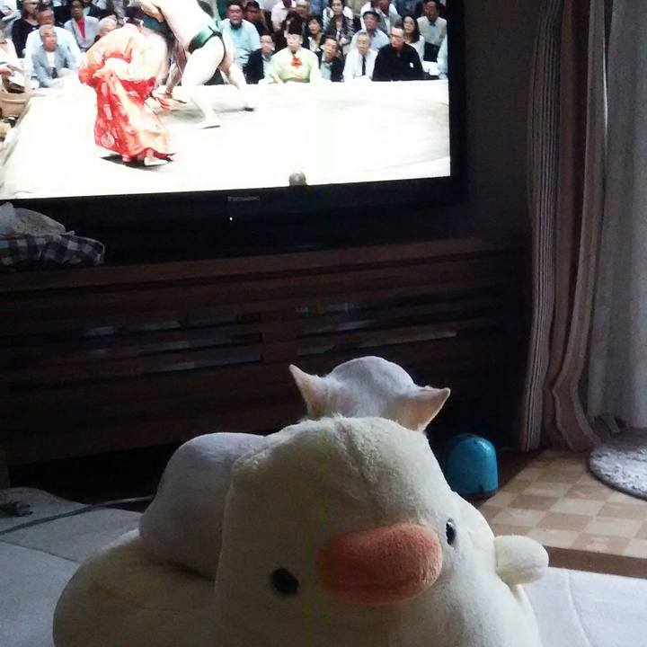 179abc7e fc92 478c b797 b0cdb6b9568e