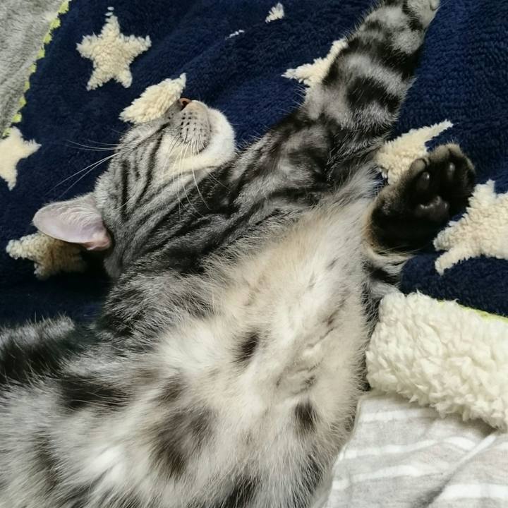 179b1db2 4fdc 486d 8ce2 75b6e87a5f28