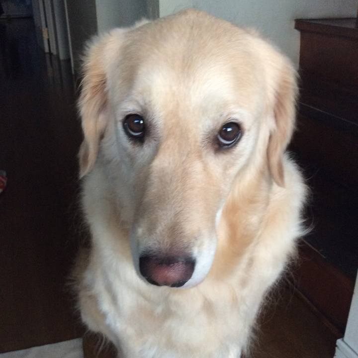 179b3e90 3377 4e82 b01a bd9d719200d6