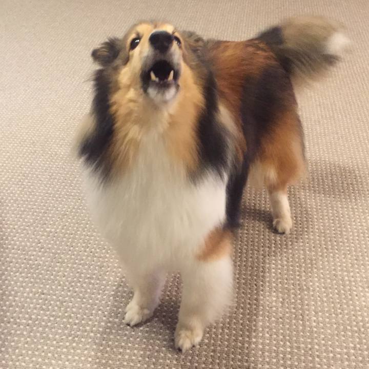 179b7641 5385 48bb baa4 ab1ff6017573