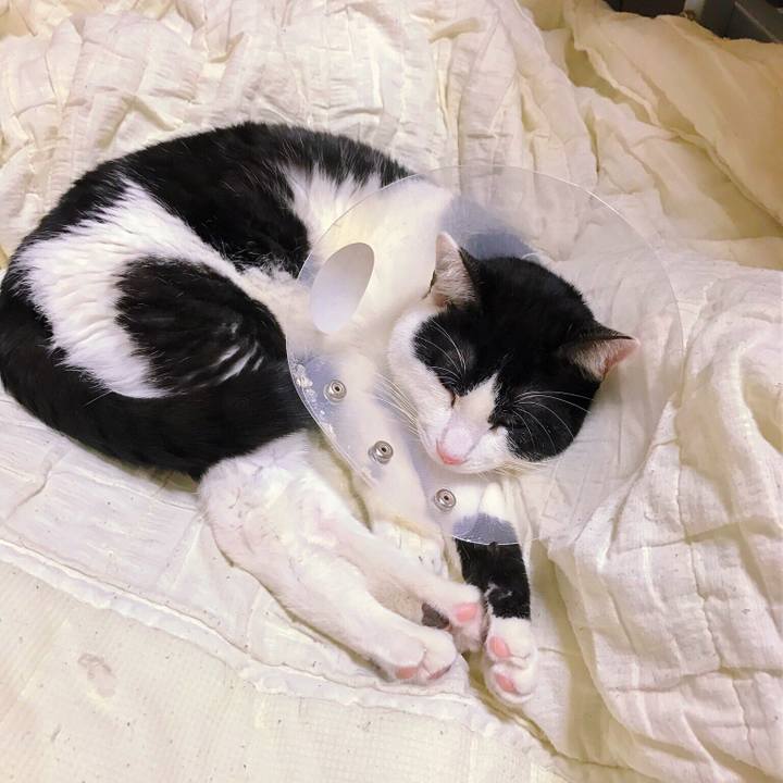 179bc2e6 68d8 4f7d 884d 30426e080a90