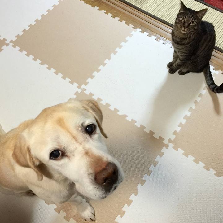 179bc59d 5902 4db5 969a d171f97ed6c2