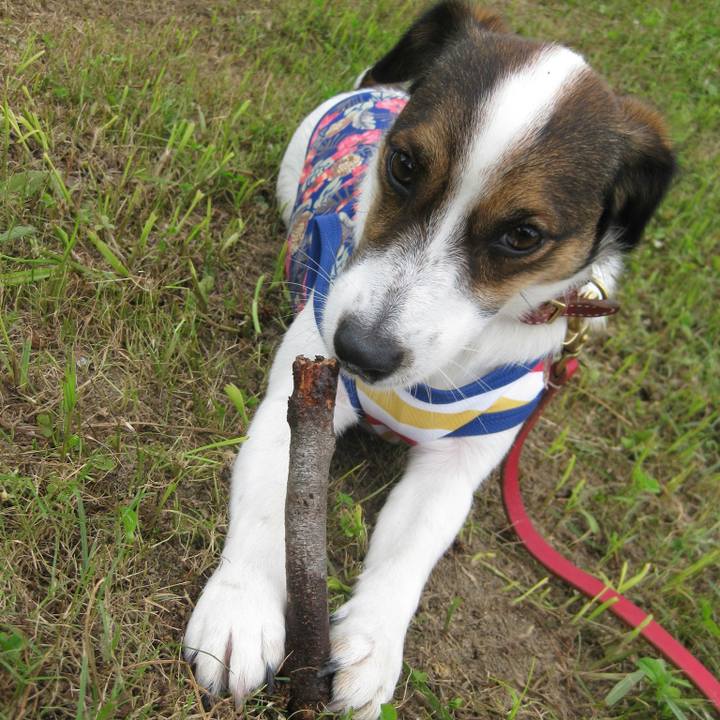 179bcaee c66f 4b49 acf4 a4a322f28769