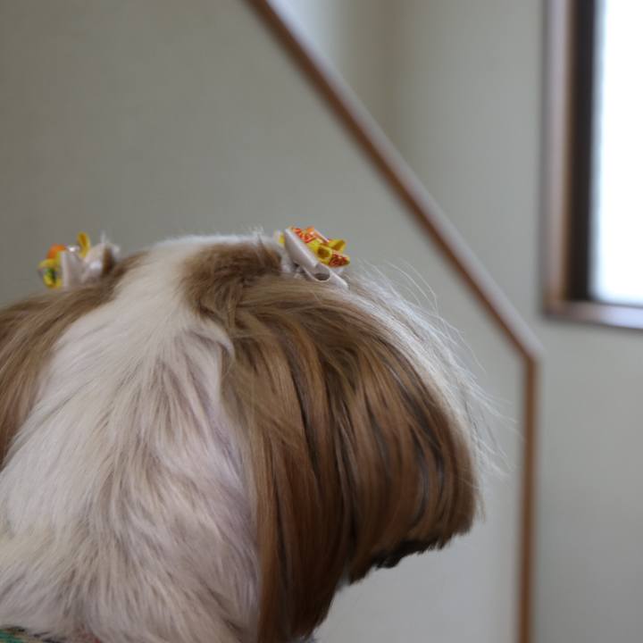 179c19a5 10bb 476b a564 d6d5ac8acce6