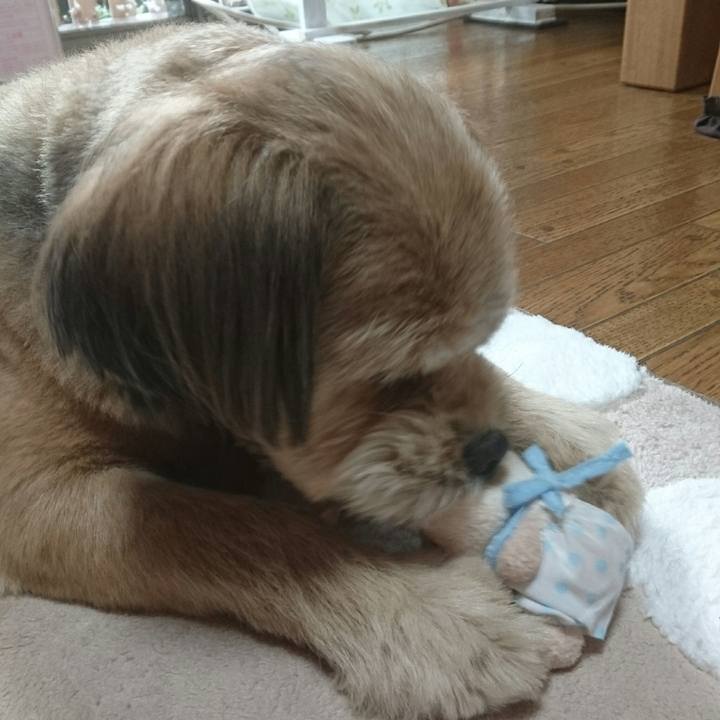 179c3e94 a7e1 42ce 8376 f5d2d53f79d4