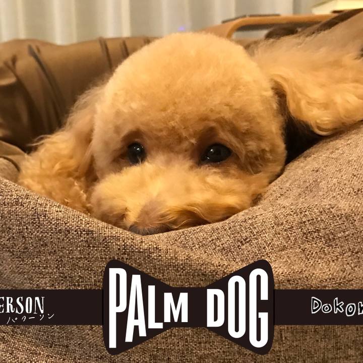 179c4b78 7bb2 44f6 ae29 2c1b268112ad