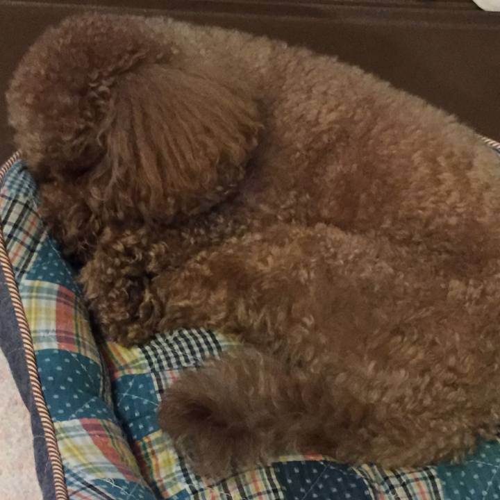 179c7a62 8909 485f 8729 a4ed62acb8f6