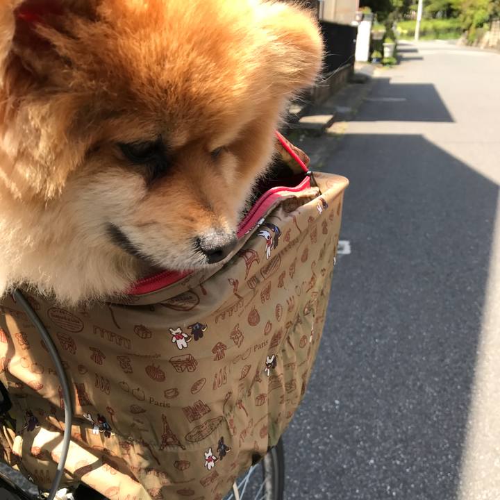 179ca104 45a7 4d6b a611 608d1c84af10