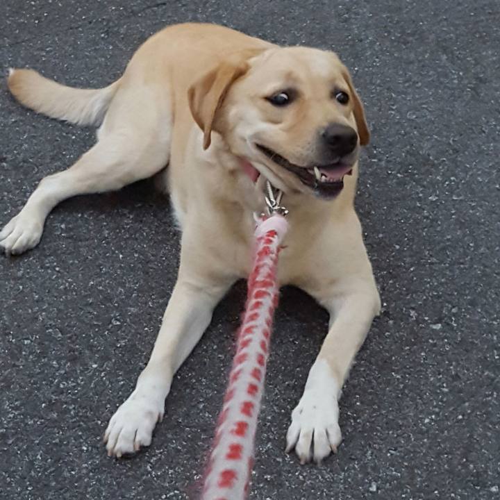 179cafe1 b402 4cf3 8b34 b93c6d0e45dc