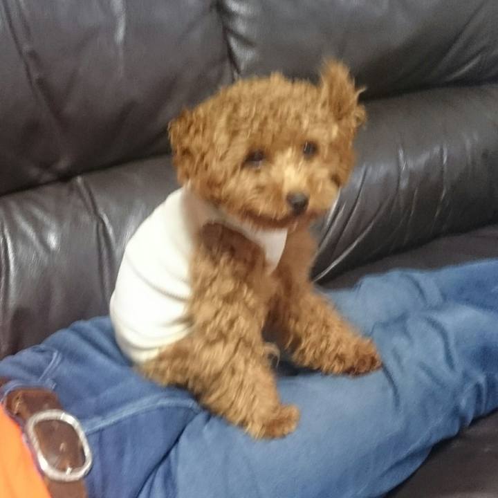 179d46b5 f83c 4c7c a881 f8d626d109db