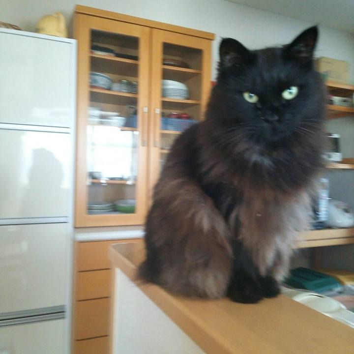 179ebcf0 8ed1 4675 bbc4 8bc5ef0777e5