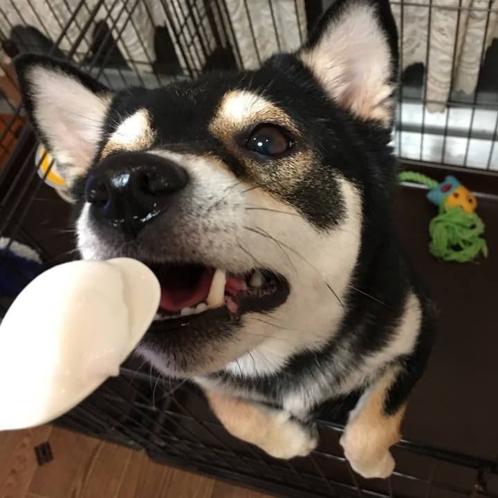 179efa1d f69f 44e0 a5e0 eb08d178ed35