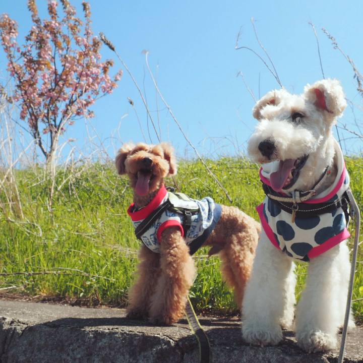 179f85b9 5579 4fed 970e bba8eaa8b886