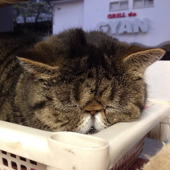 179fd444 86f1 468f b88f 32b158c66412