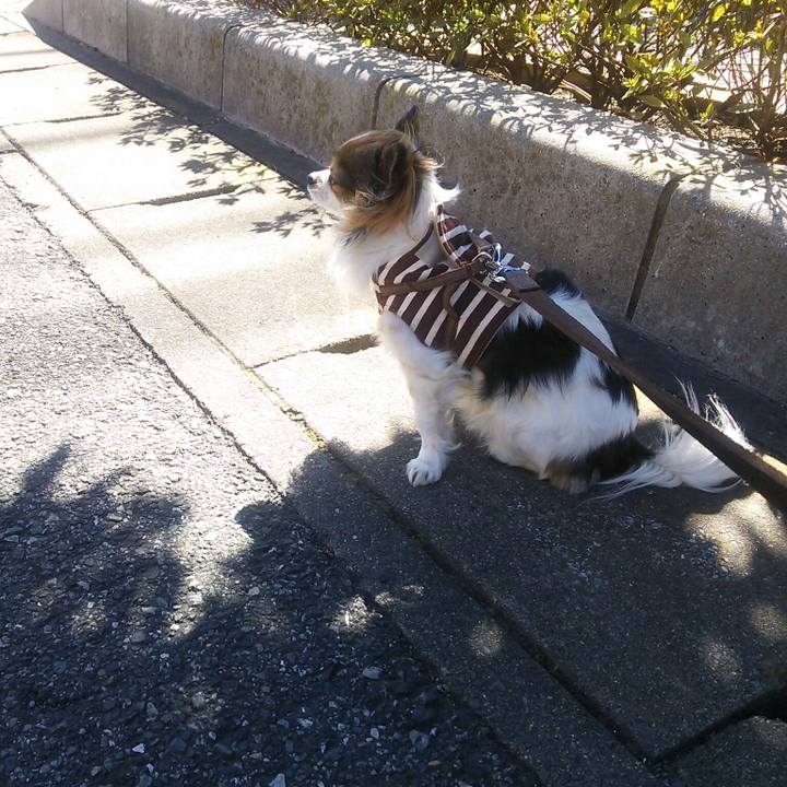 179fd9a0 c64f 4be9 8c60 fc4edb66f9fa