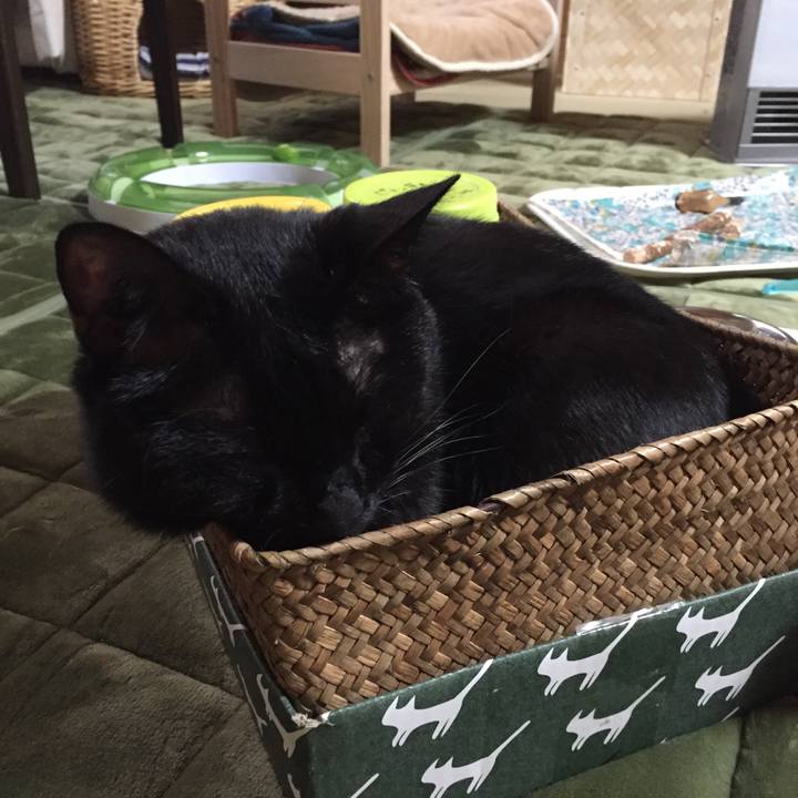 17a03bd4 d42f 4d5c a09f 68c8e425e174