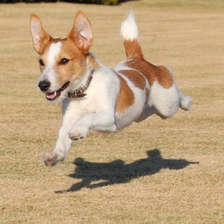 17a06ec2 c059 46d9 9a9a 28cf04bdfff4