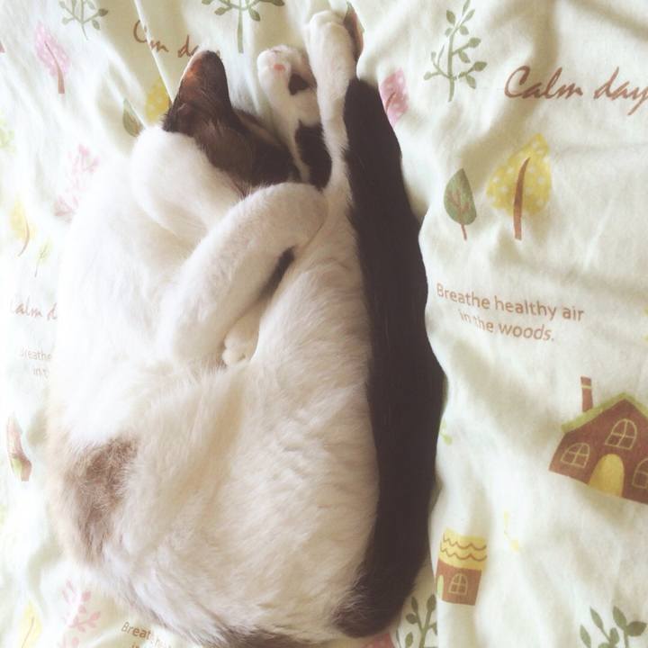 17a09aa1 6a68 45c0 9e8b 6bc222b2425c