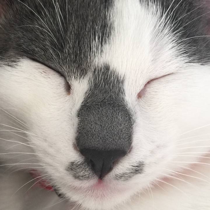 17a13fe0 5396 462c a16c db7d037ce6b4