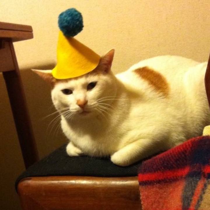 17a147d6 0ec0 45df b1d6 c81ac1e174cc