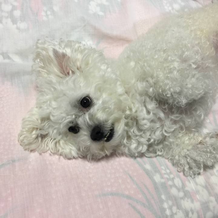 17a149af dc7e 441c a071 e7b5b07f7e1c