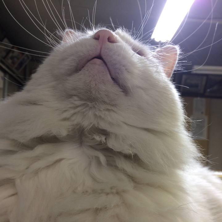 17a1bcbb f574 4a06 bfaa 23ae1b087a1d