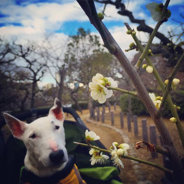 17a1f45b c849 4eda 8fc6 34dd88f588da