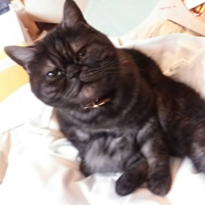 17a24017 797b 4b53 af50 0f2e93458f17