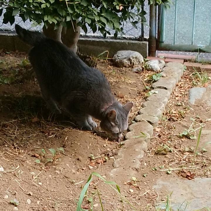 17a2662a 8151 42b6 9946 9cf667db6f20