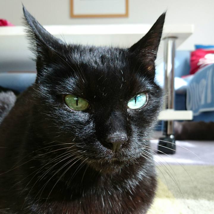 17a33837 3b7d 4e07 935d 4db4b2fbc4ef