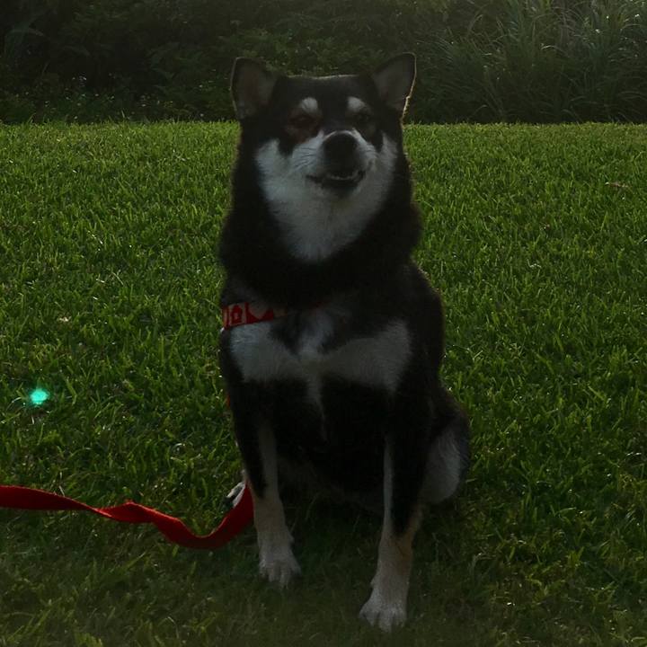 17a3cdf1 ff87 4245 8ee8 4d397f7f56ec