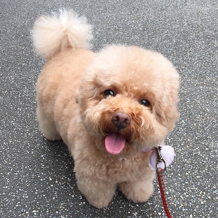 17a3ebc7 cadd 48cd bdb0 219e702e7dd1