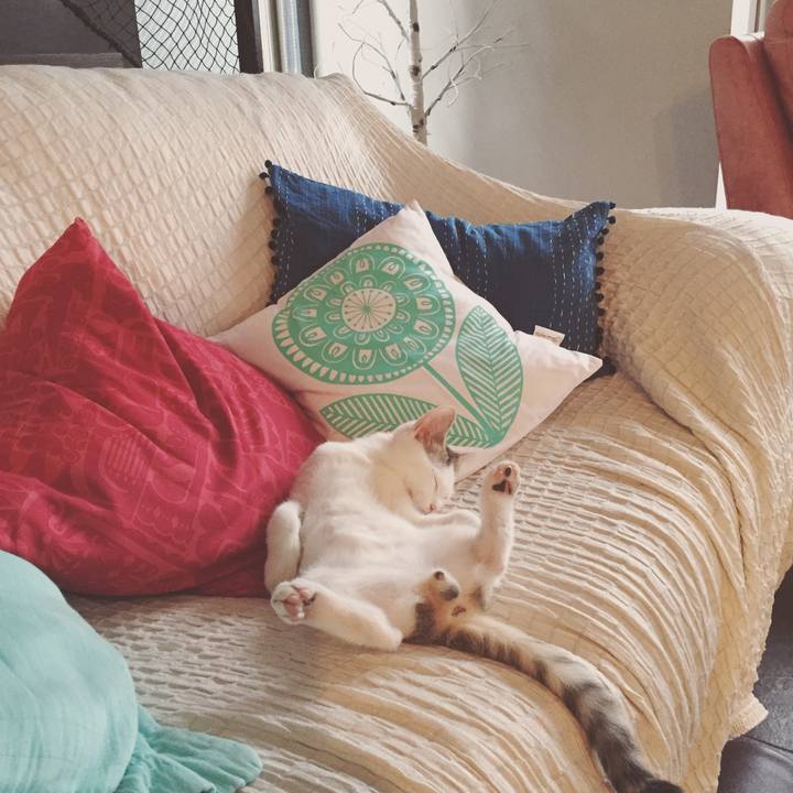 17a45a51 7582 4225 a408 1b56b7becba5