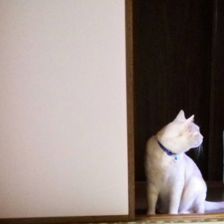 17a4e267 a5fd 403c 97bb 340813ce892e