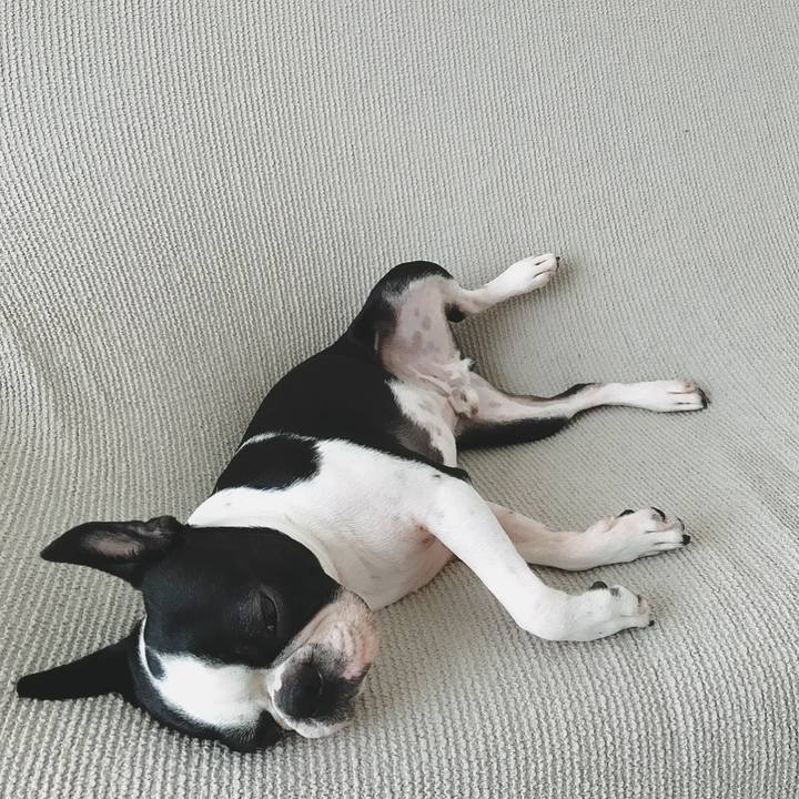 17a520a9 79c9 415d 889f 338bafcace60