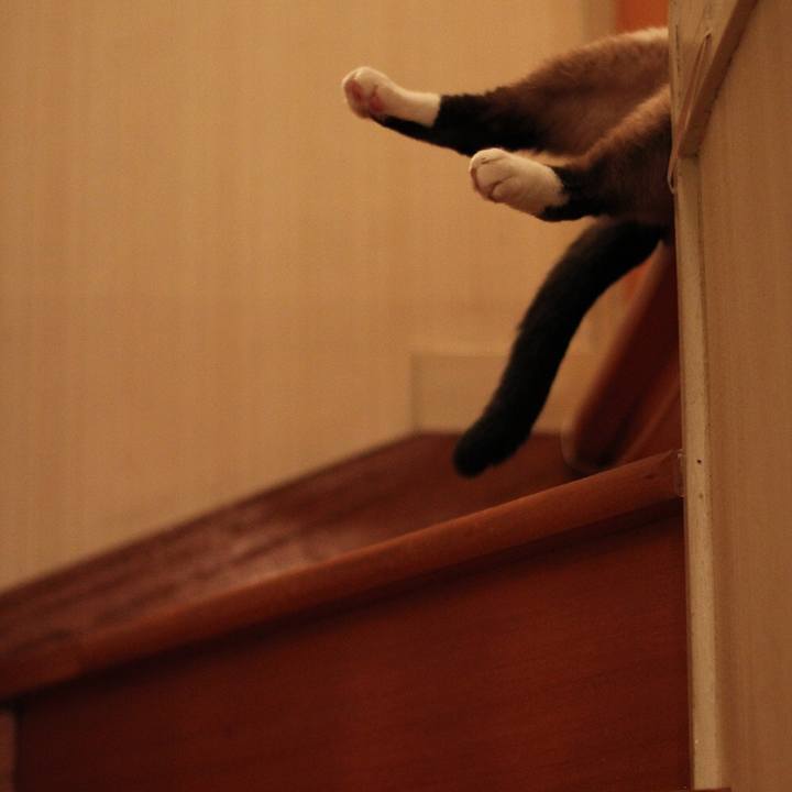 17a630ca cff4 4d7d 898f 94c4aae8435e