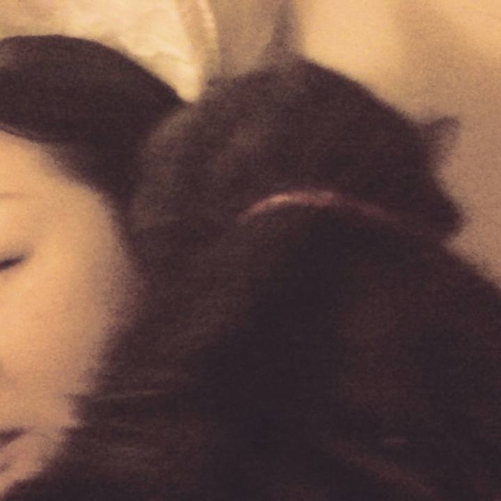 17a68b34 2e26 408a a6bb b9762fd1ca2a