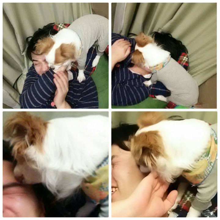 17a6d661 7570 45bf bfad 0af5e134107b