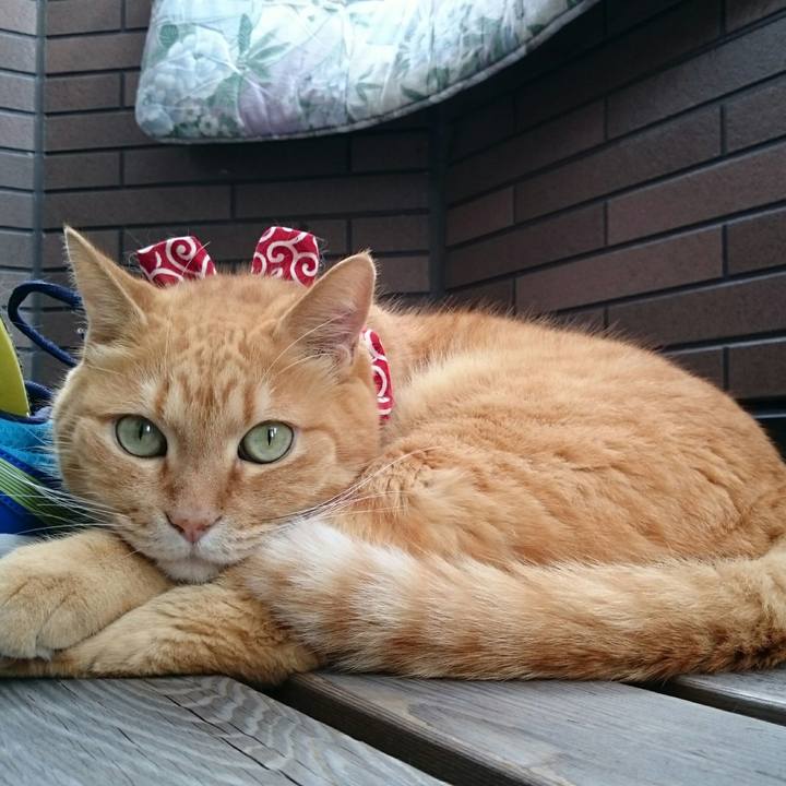 17a6d944 acb4 4b71 a4d8 65f8a6d9cf30