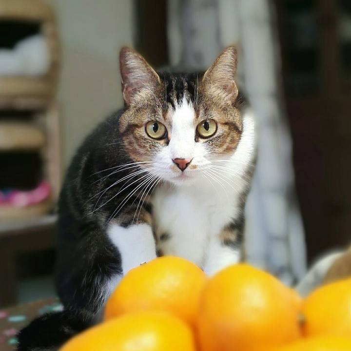 17a7262e 30f2 4242 b6db 46402ecca0a4